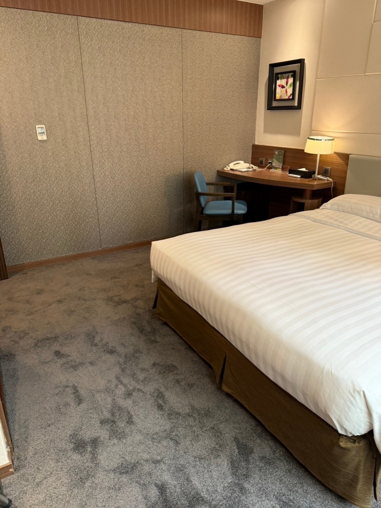 洛碁大飯店(舞衣新宿)-房型_裝修設計工程