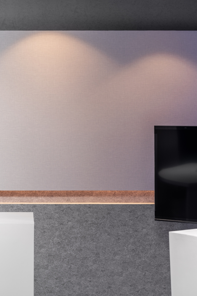 亞洲遠距微創手術中心．醫學影像教學棚