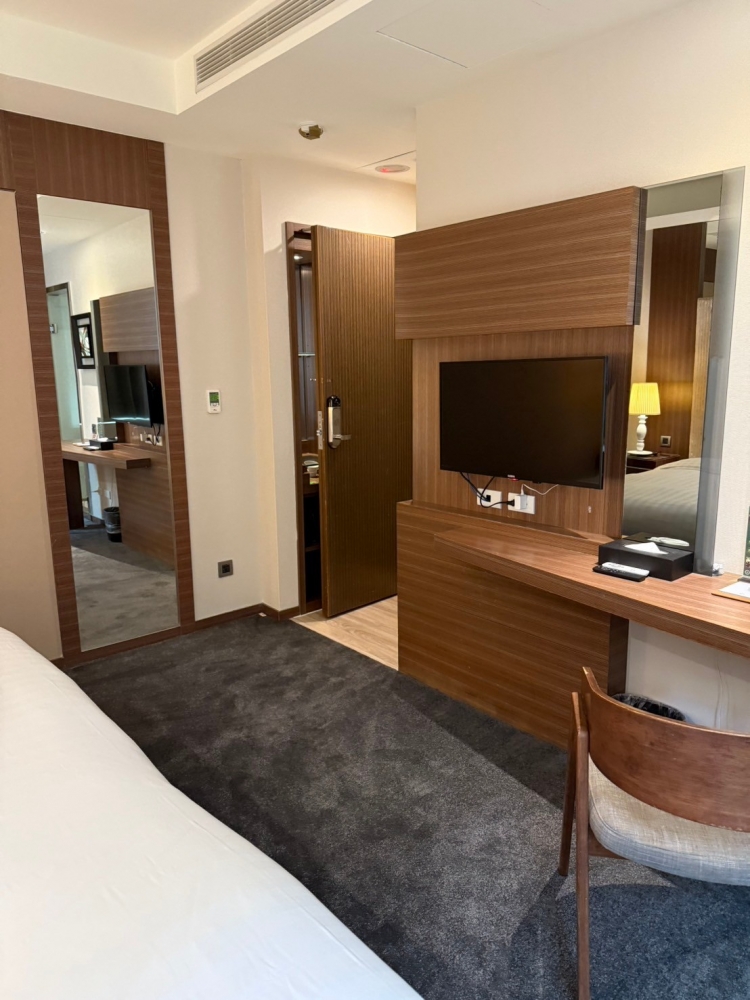 洛碁大飯店(舞衣新宿)-房型_裝修設計工程