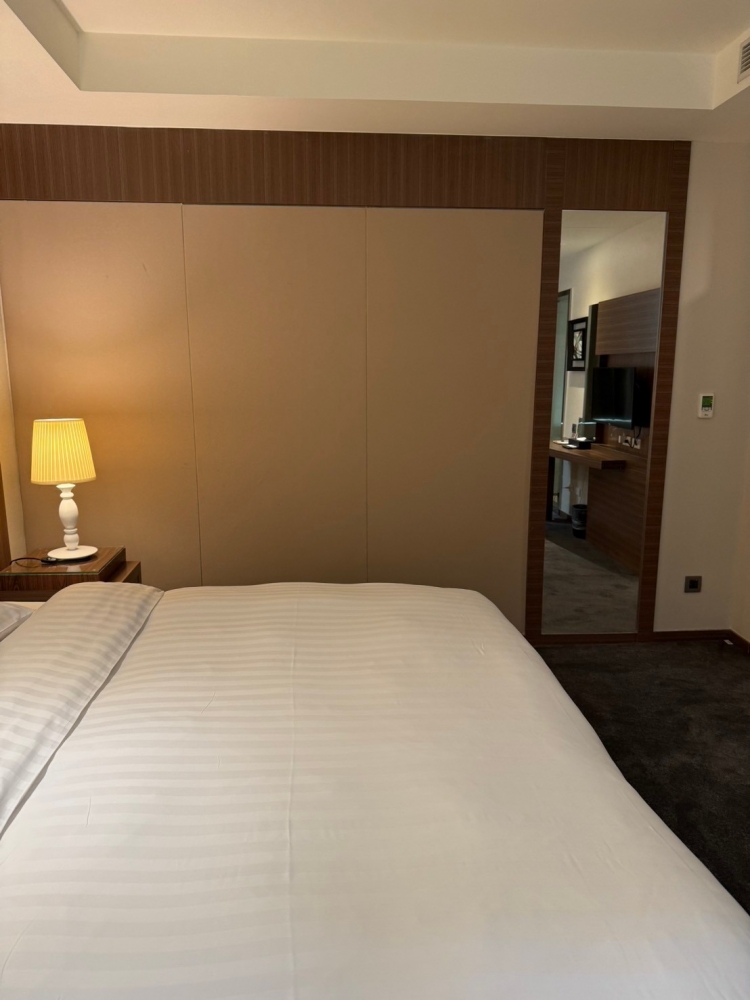 洛碁大飯店(舞衣新宿)-房型_裝修設計工程