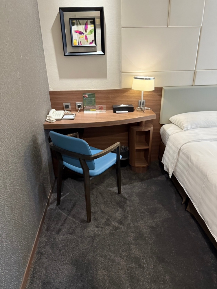 洛碁大飯店(舞衣新宿)-房型_裝修設計工程